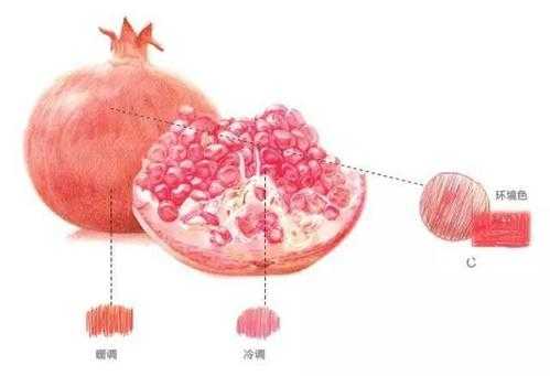红体的形成过程（红体是什么）-图3