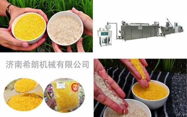 米粒的生产过程（米的生产过程写一写）-图3
