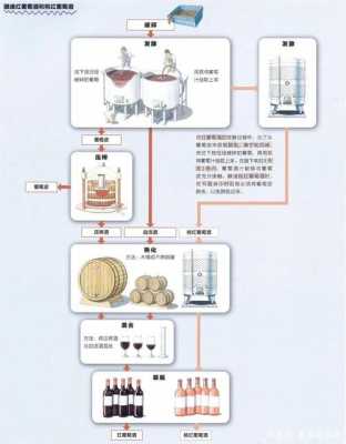 葡萄酒酿造过程中能添加（葡萄酒酿造过程中能添加）-图1