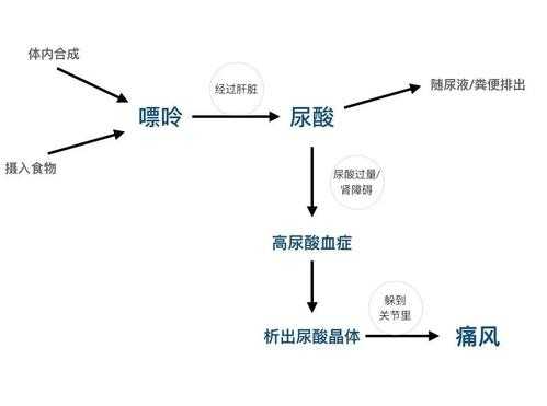 尿酸降过程（尿酸骤降）-图1
