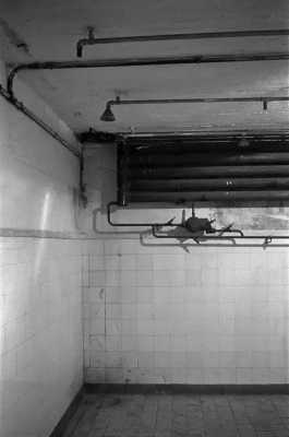 纳粹毒气室死亡过程（纳粹德国毒气室）-图3