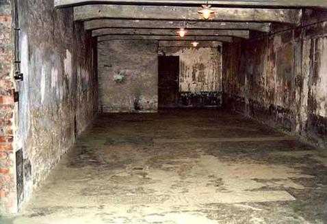纳粹毒气室死亡过程（纳粹德国毒气室）-图2