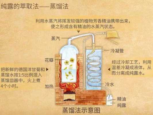 传统精油蒸馏过程（蒸馏精油的制作流程）-图3