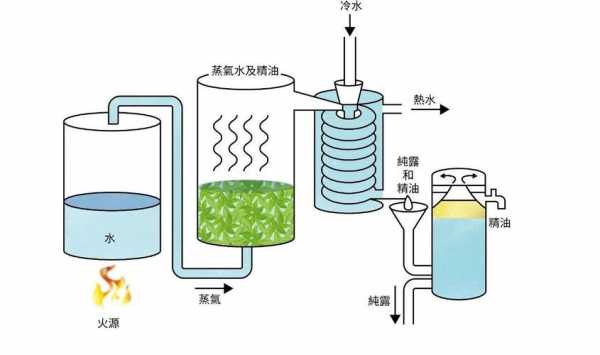 传统精油蒸馏过程（蒸馏精油的制作流程）-图1