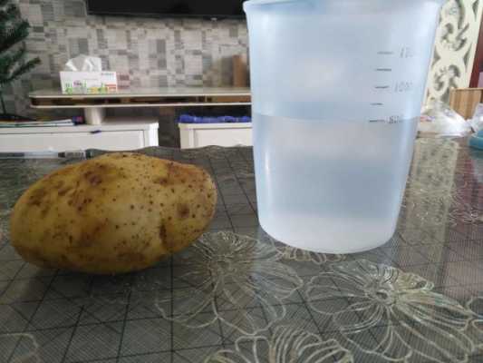 土豆的测量过程（测量土豆的体积的过程教案图片）-图1