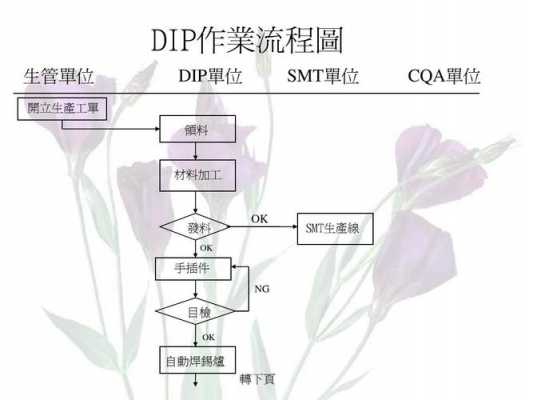 DAP过程的简单介绍-图1