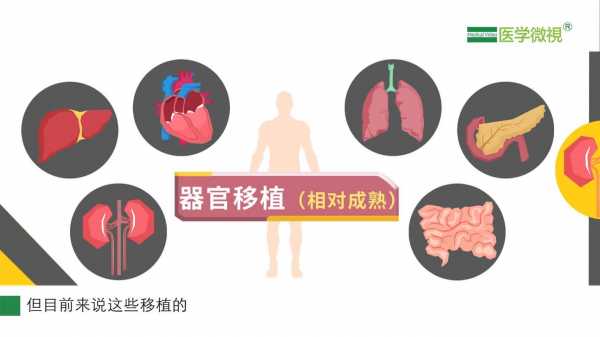 移植器官的排斥过程（器官移植的排斥反应是由什么引起的）-图1
