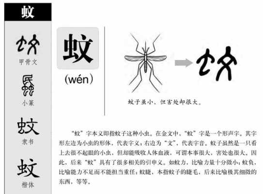 蚊的演变过程（蚊的字形演变）-图1