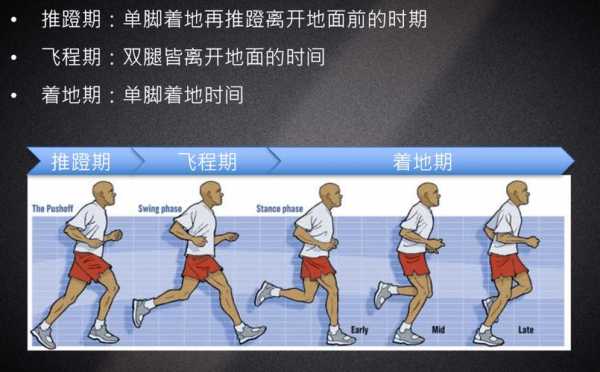 跑步指挥的过程（跑步指导视频）-图1