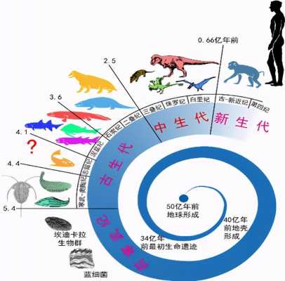 生命演化的过程（生命演化的过程五个阶段）-图2