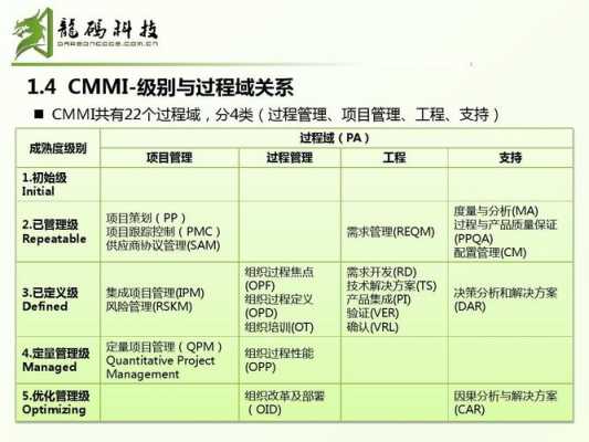 cmmi项目过程定义（cmmi体系四大过程分类）-图2
