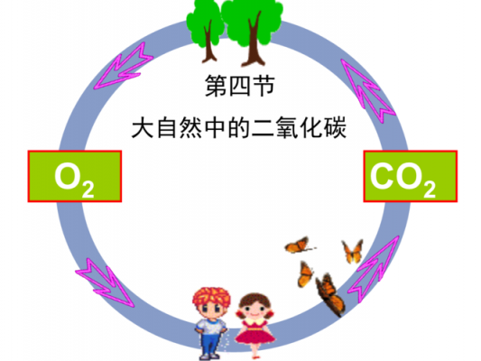二氧化碳变化过程（二氧化碳的过程）-图2