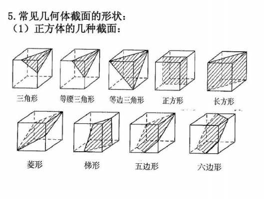 立体的截面过程（立体的截面怎么画）-图3