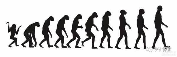 你的演化过程（演化程度）-图3