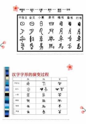 象形汉字演化过程（象形字到汉字的演变过程）-图3