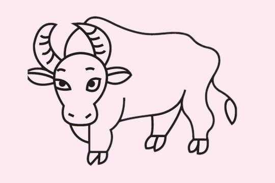 公牛的作画过程（公牛的画画）-图3