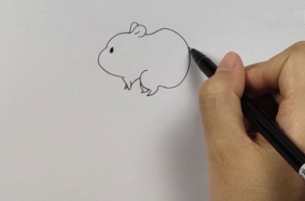 画小仓鼠的过程（一步一步教你画小仓鼠）-图2