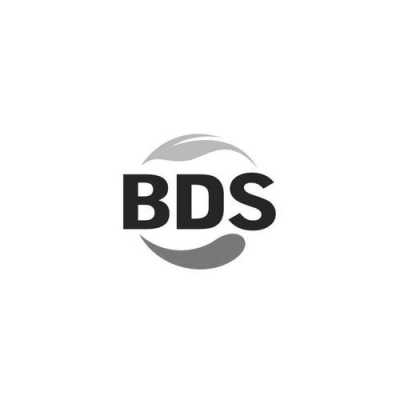 BDS发展过程（bds发展史）-图3
