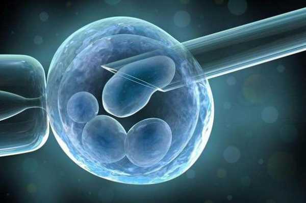 试管婴儿胚胎植入过程（试管婴儿胚胎植入过程视频）-图3