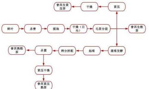 茶产业生产过程（茶生产流程）-图1