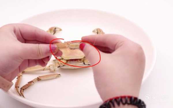 吃螃蟹过程的描写（吃螃蟹的过程怎么写）-图2