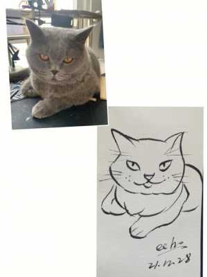 猫画的过程（猫画的画怎么写）-图2