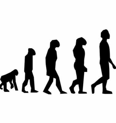 人类进化过程顺序（人类进化过程顺序是什么）-图1