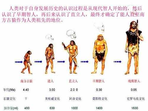 人类进化过程顺序（人类进化过程顺序是什么）-图2