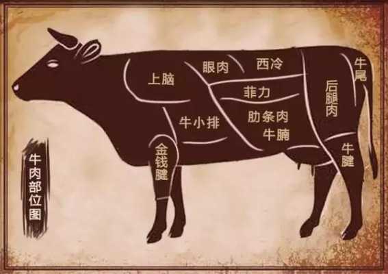 牛排的生产过程（牛排生产全过程视频）-图2