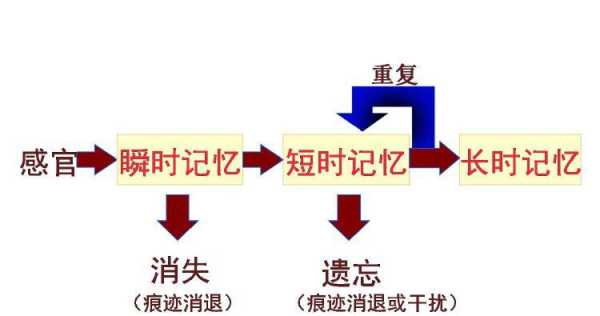 记忆的基本过程包括哪些（记忆的基本过程包括哪些环节）-图2