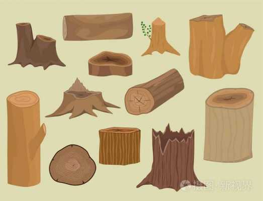 树木变成木板过程图解（树变成木板后的后续故事）-图3