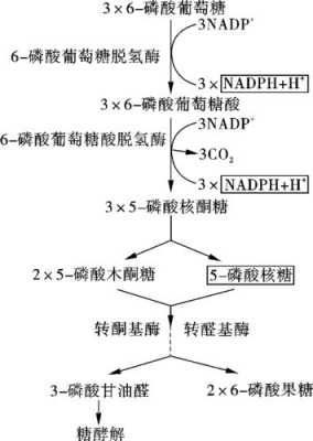 磷酸的形成过程（磷酸的形成过程示意图）-图2