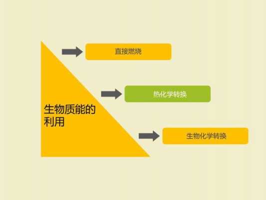 生物质生化转化过程（生物质生物转化）-图3