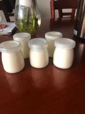 自制酸奶过程及其原料（自制酸奶过程及其原料是什么）-图3