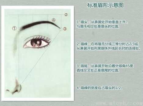 标准眉目知识过程图（标准眉的图片）-图2