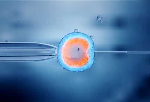 移植胚胎的过程视频（胚胎移植过程视频高清）-图2