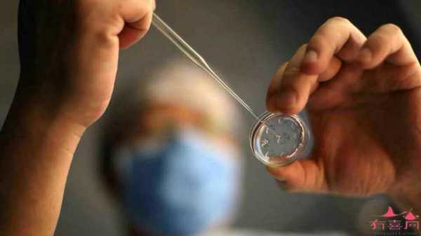 移植胚胎的过程视频（胚胎移植过程视频高清）-图3