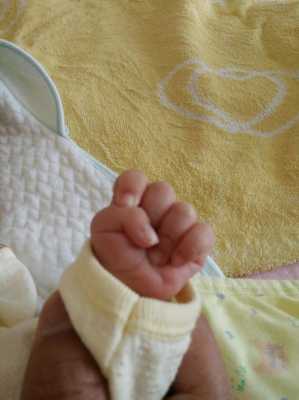 胎儿发育手指过程（胎儿手发育不正常是什么原因造成的）-图1