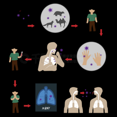 病毒传染过程（病毒传染的过程）-图2