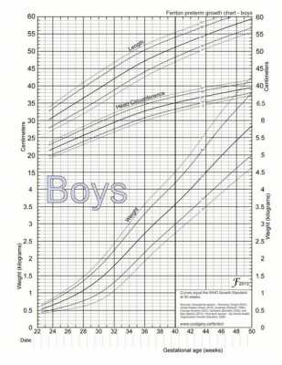宝宝的生长发育过程图（宝宝的生长发育曲线图）-图3
