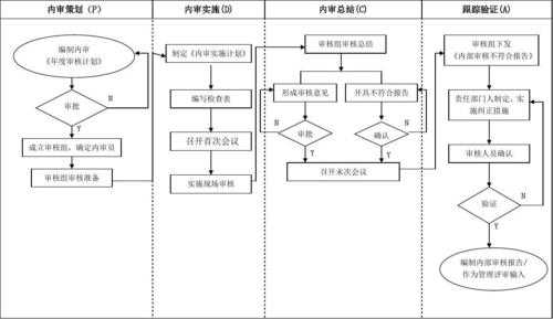 过程审核报告最新模板（过程审核流程图）-图1