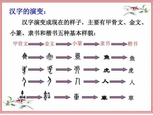 汉字的演变过程200字（汉字的演变过程两百字）-图1