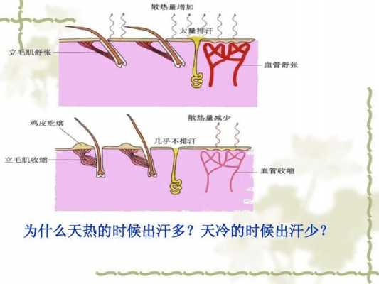 汗液生成的过程（汗液生成的过程包括）-图3
