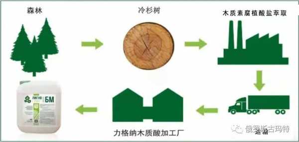 木材形成的过程（木材形成过程包括）-图2