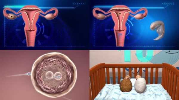 3d受孕过程视频（产生怀孕的视频）-图1