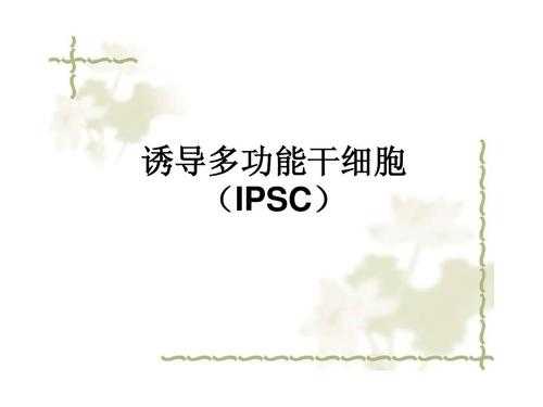 ipsc细胞重编码过程（ips细胞再生）-图1