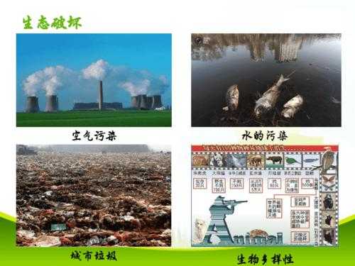 简述环境污染过程（简述环境污染的主要因素）-图3