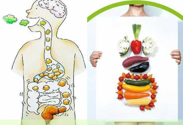 食物进入肠的过程（食物进入肠道的过程）-图2