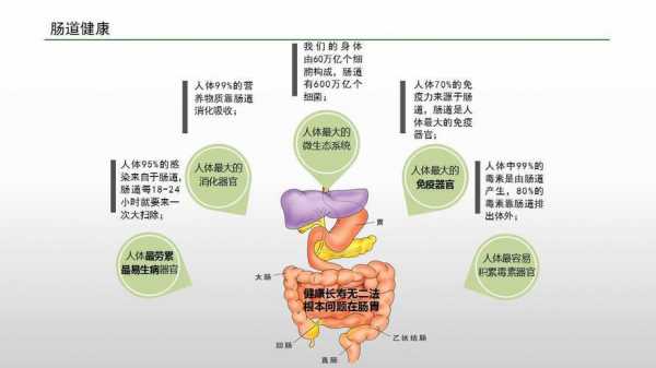 食物进入肠的过程（食物进入肠道的过程）-图1