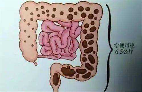 食物进入肠的过程（食物进入肠道的过程）-图3